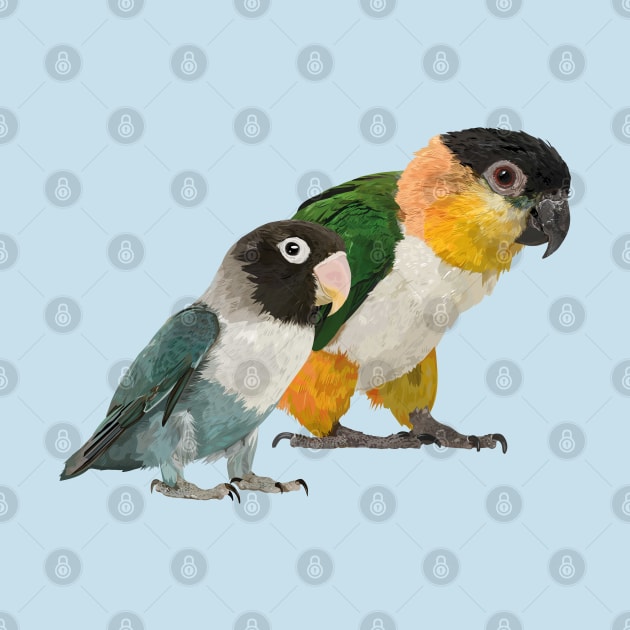 Caique and Agapornis by obscurite