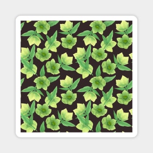 Green Hellebore on Chocolate Background Magnet