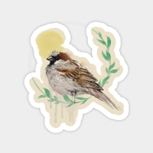 House Sparrow Magnet