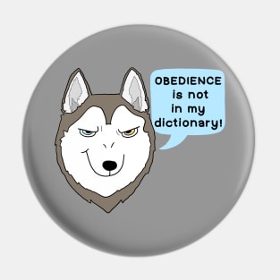 Obedience is not in my dictionary! Pin