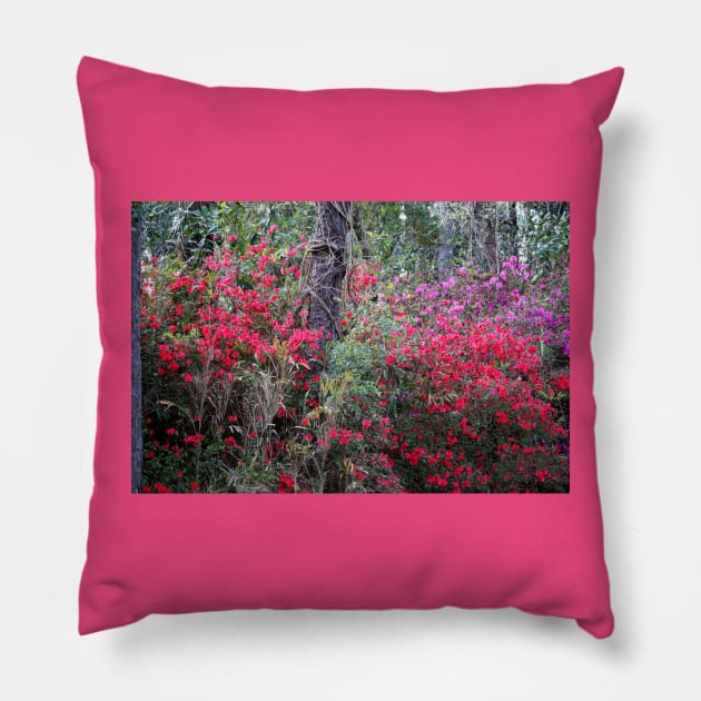 Beautiful Flowers In The Woods Pillow by Cynthia48