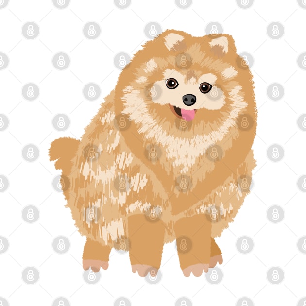 Pomeranian dog by CTstudio