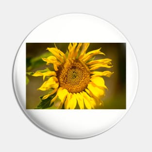 blb patterns sunflower Pin