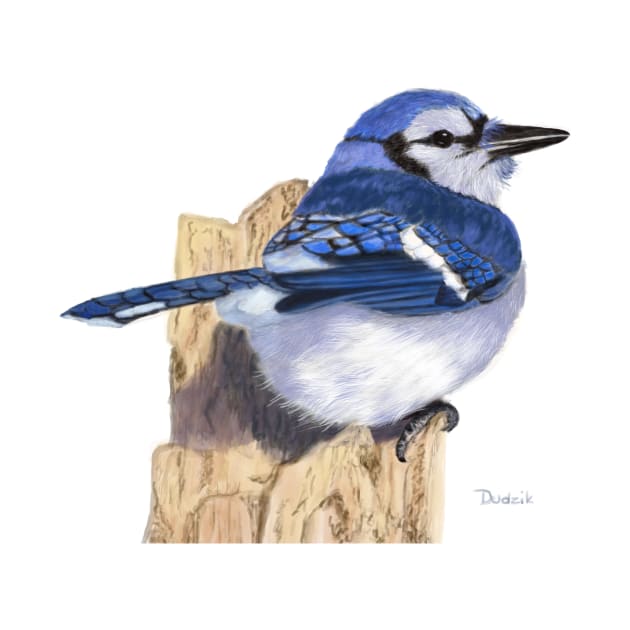 Blue Jay Backyard Bird by Dudzik Art