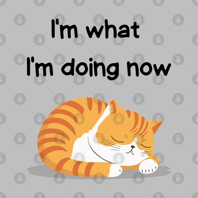 Sleeping Affirmation Cat - I'm what I'm doing now | Cat Lover Gift | Law of Attraction | Positive Affirmation | Self Love by JGodvliet