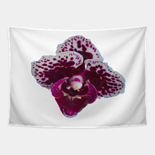 Purple Speckled Orchid Tapestry