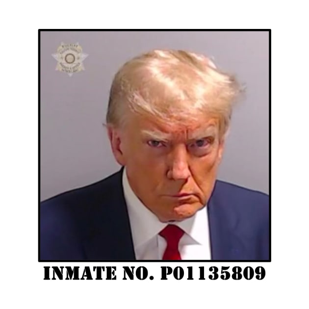 Trump mugshot by speedyturtle