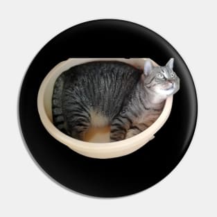 Gray Kitty- cute cat design Pin