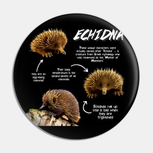 Echidna Fun Facts Pin