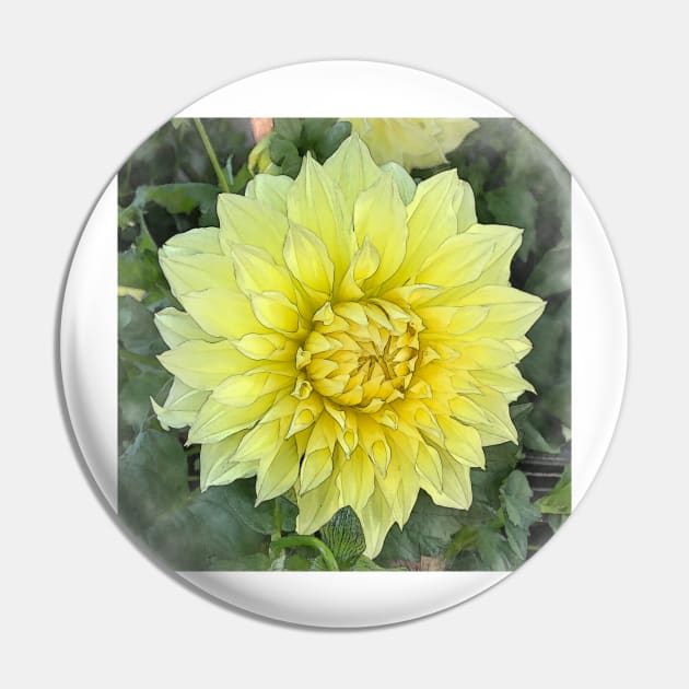 Dahlia Bloom Of Soft Yellow Pin by KirtTisdale