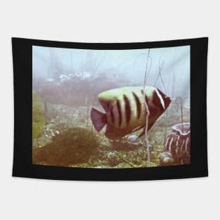 SIX BANDED ANGELFISH Tapestry