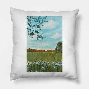 Blue Sky and Green Grass Pillow