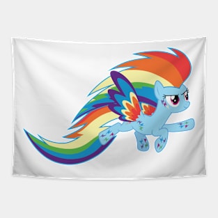 Rainbow Power Rainbow Dash Tapestry