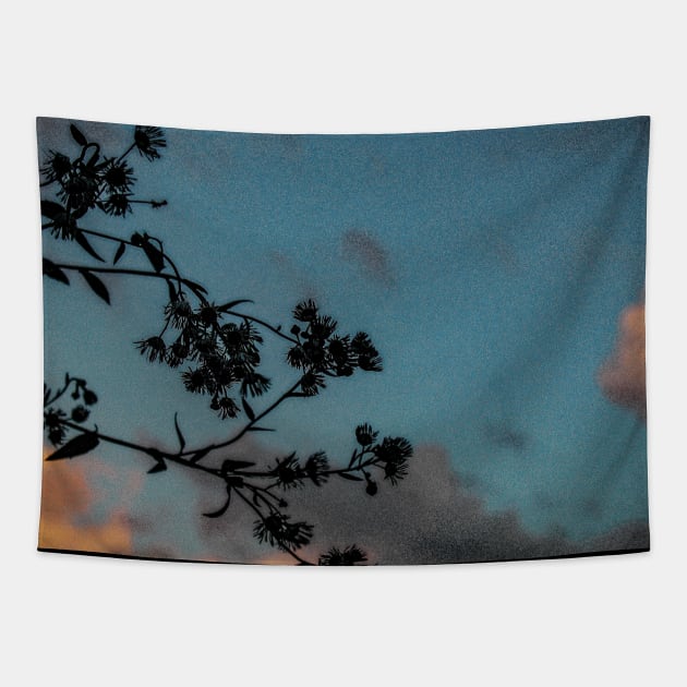 Flowers in the sky Tapestry by PilkinsPhotography
