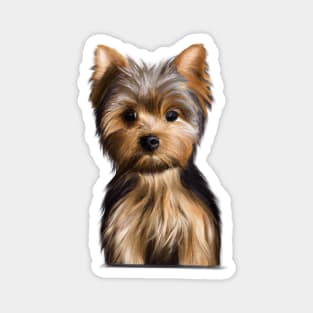 Cute Yorkshire Terrier Drawing Magnet