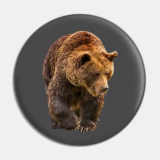 Bear Pin