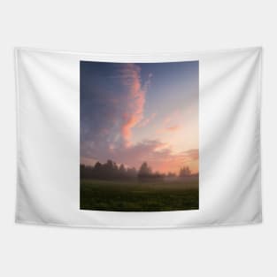 Misty meadow sunrise landscape Tapestry