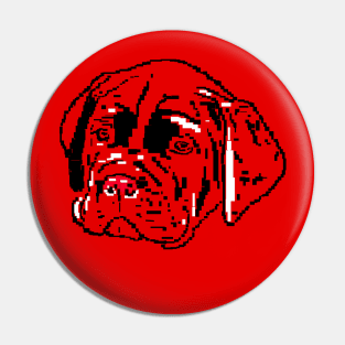 Dog Cane Corso  puppies on red background Pin