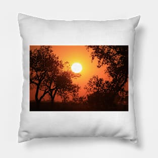 Blaze Orange Kansas Sunset with Tree silhouette's Pillow