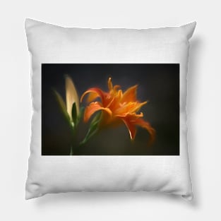 Evening Glow - Designer 135848 x6 Pillow