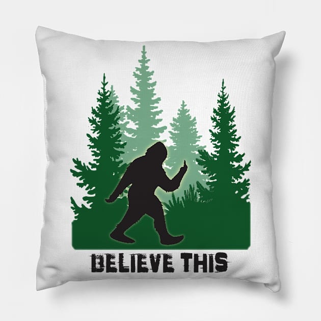 Believe This Pillow by marengo