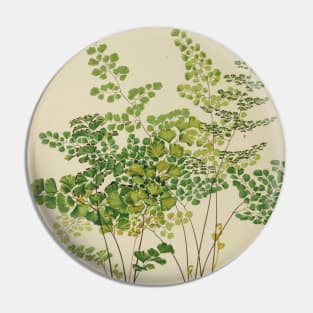 Maidenhair Ferns Pin