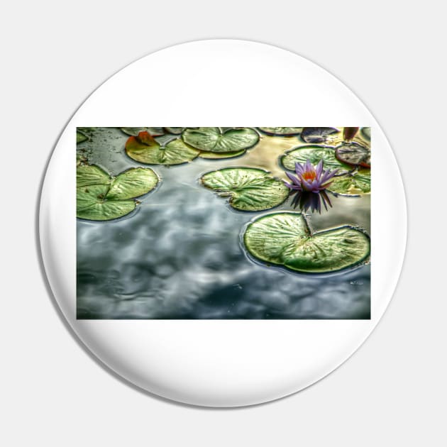 Sunlight on a Pond Pin by jswolfphoto