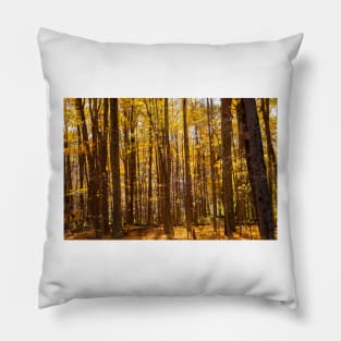 Autumn deep in forest scene on a trail Pillow