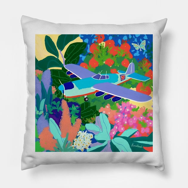 Private plane tour II Pillow by RoseAesthetic