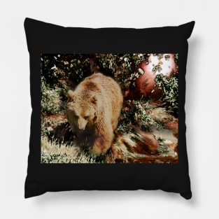 Forest Wild Grizzly Brown Bear. Woods Pillow