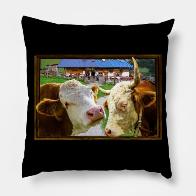 Home on the Range Pillow by cameradog