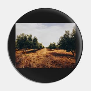 Olive Tree Plantation Pin