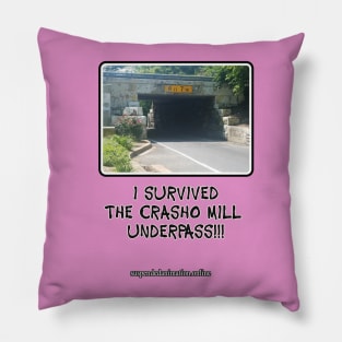 Casho Mill Underpass Survivor Pillow