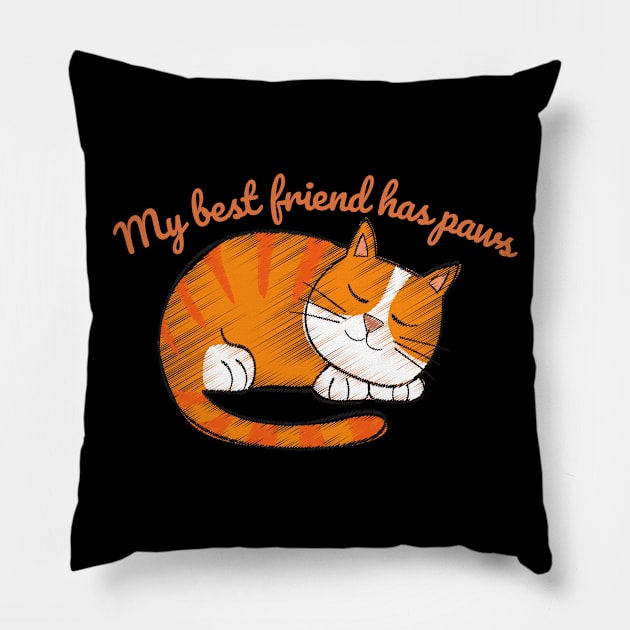 cat lover gifts Pillow by teecrafts