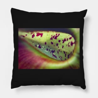 Colorful carnivorous plant Pillow