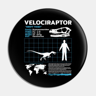 Velociraptor fact sheet Pin