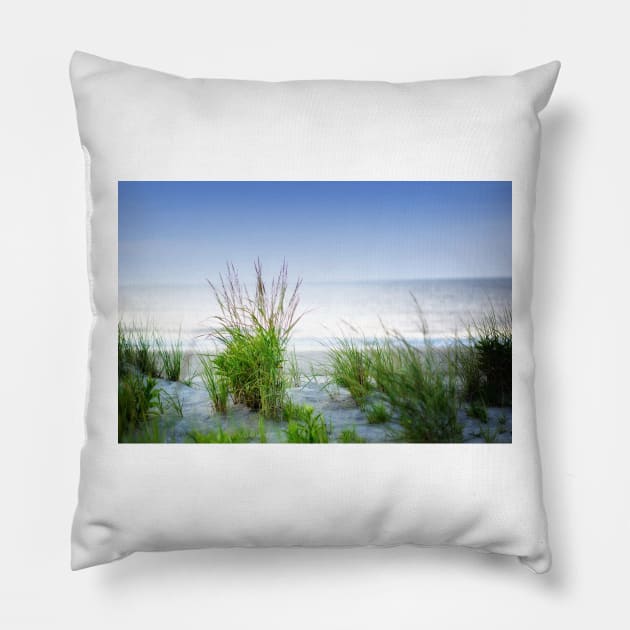 Sea Oats On The Dune Pillow by JimDeFazioPhotography