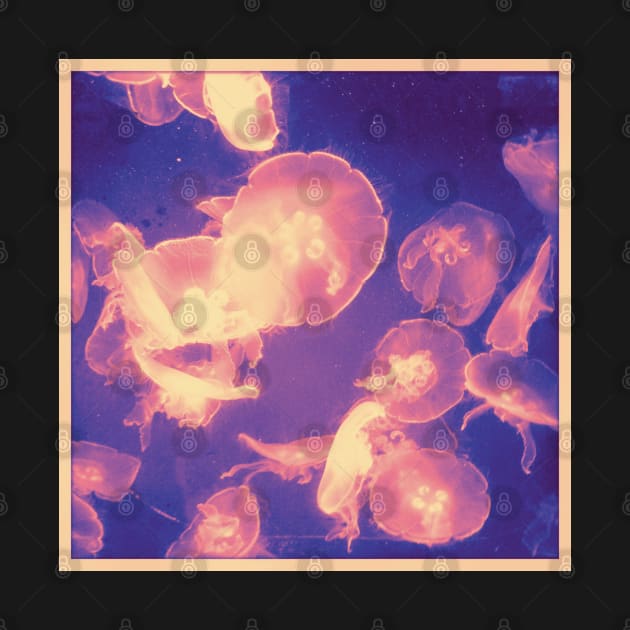 Jellyfish by punkcinemaart