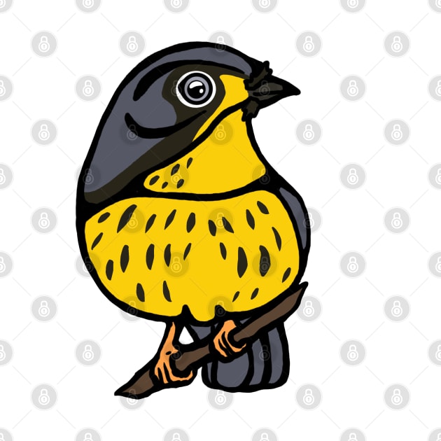 Canada Warbler Graphic by New World Aster 