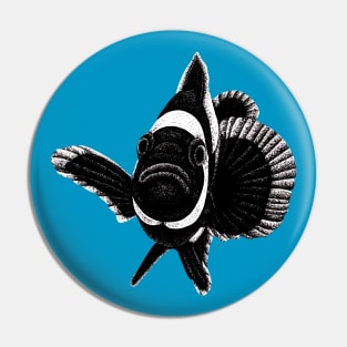 Black ocellaris clownfish illustration Pin