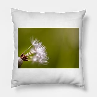 Close-up of dandelion seeds Pillow