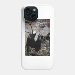 Andean Condor Phone Case