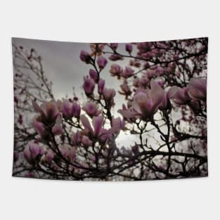 Cherry Blossom Tapestry