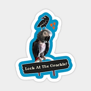 Einstein Parrot Look at the Grackle! Magnet