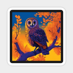 Stunning copper and blue barn owl Magnet