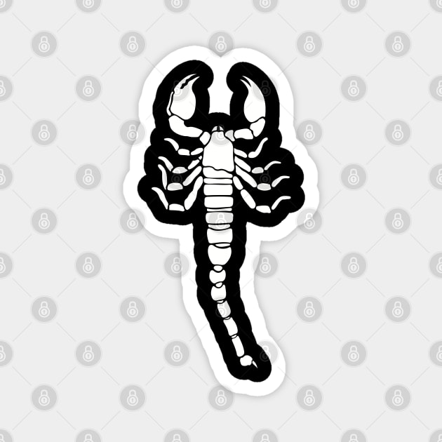 Cool white scorpion Magnet by imdesign