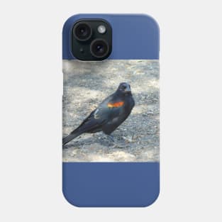 Which way to the bird bath? Phone Case