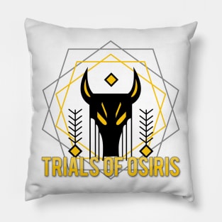 DESTINY HIC JACET FLAWLESS EMBLEM Pillow