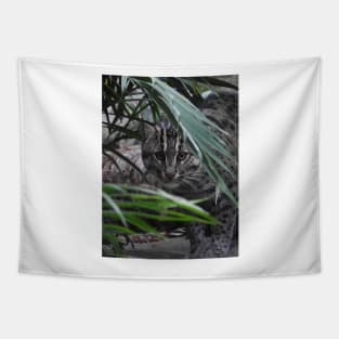 Fishing Cat Tapestry