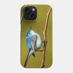 Little Cute Bird Photograph. Blue-Gray Gnatcatcher Phone Case